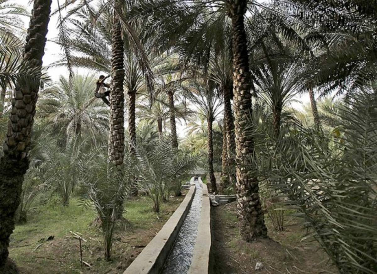 Agua dulce, el recurso más valioso del mundo
