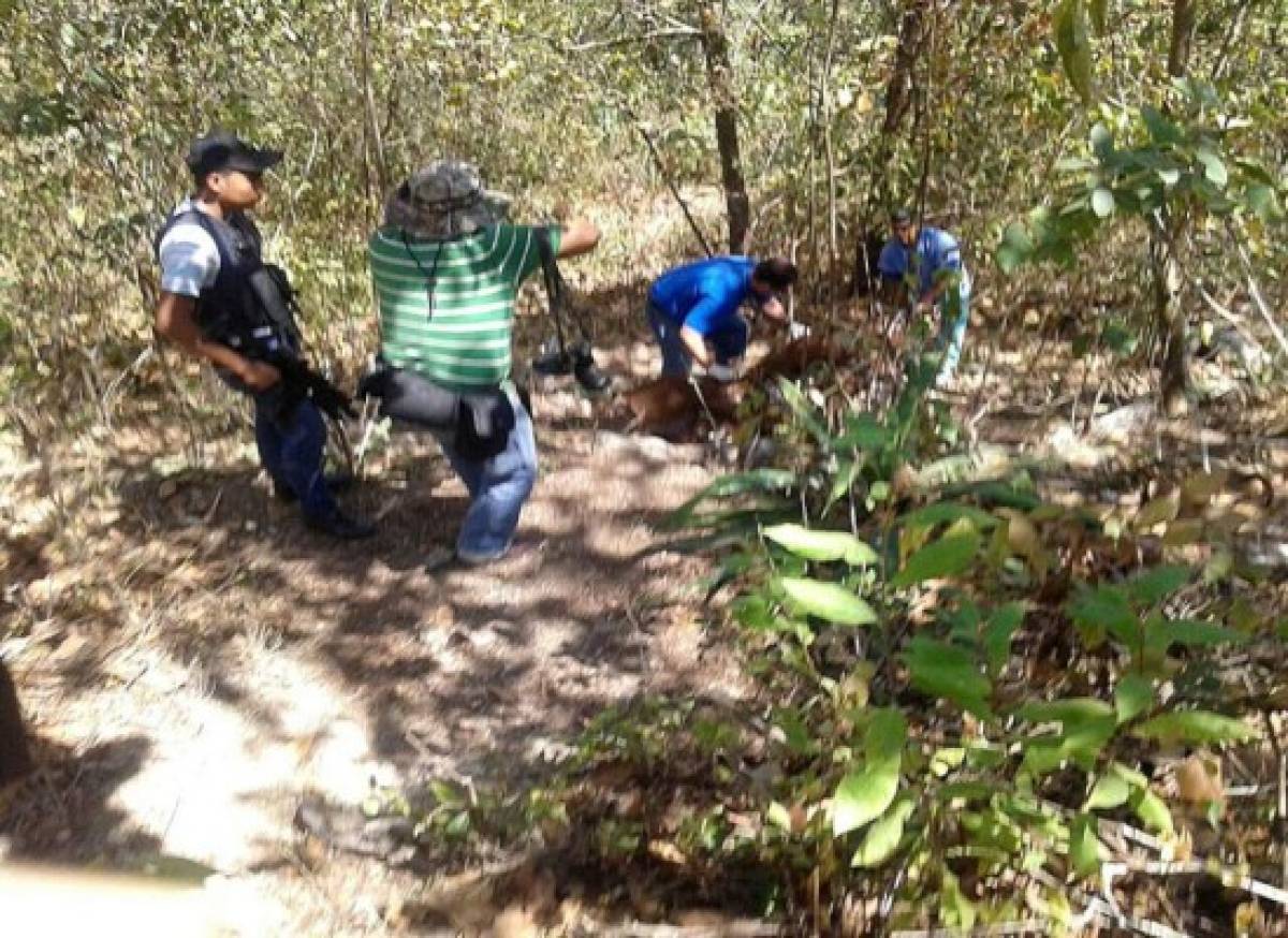 Declaran culpable a hondureño por el secuestro y muerte de un extranjero
