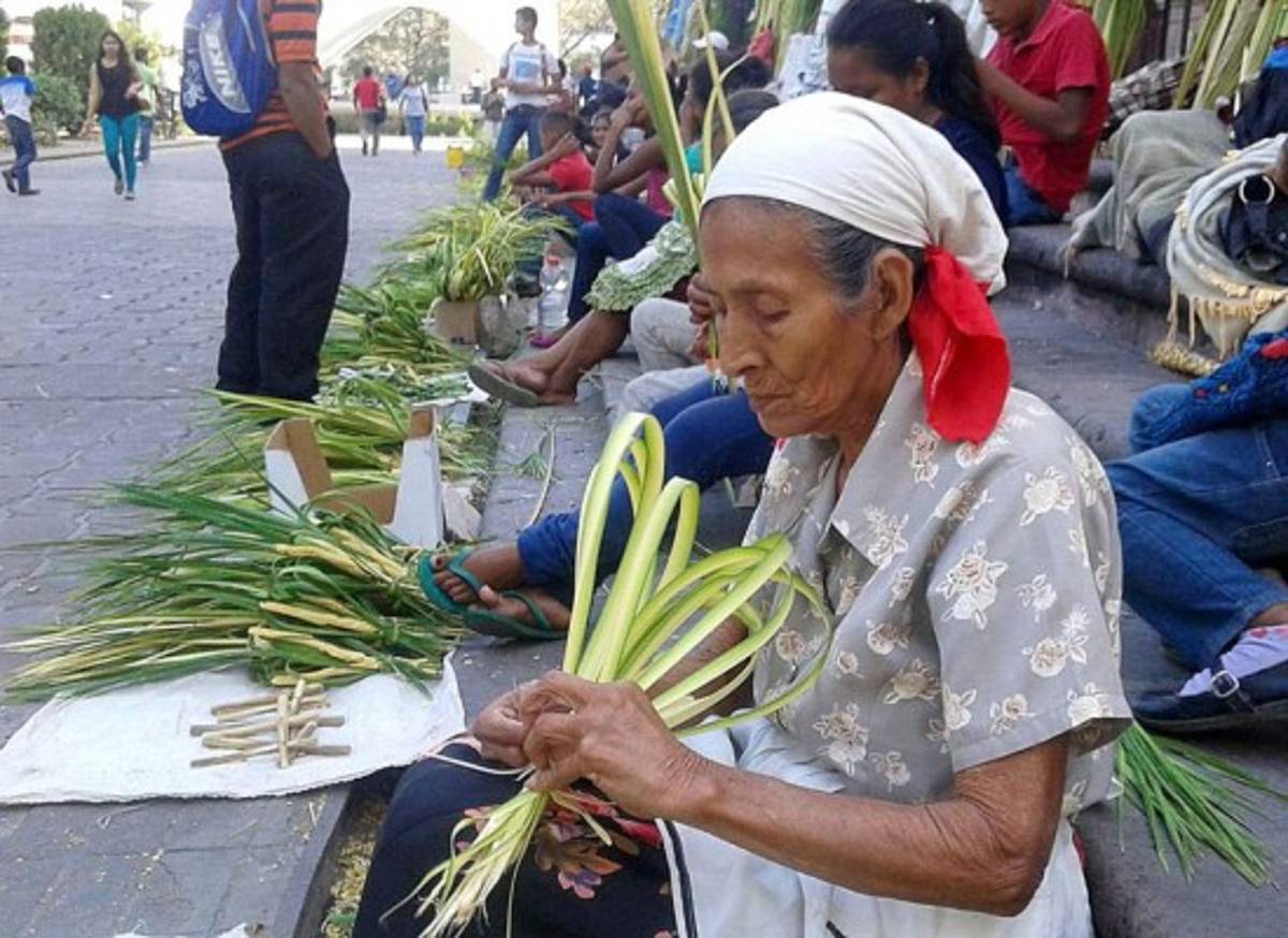 Palmas de olivo invaden Tegucigalpa