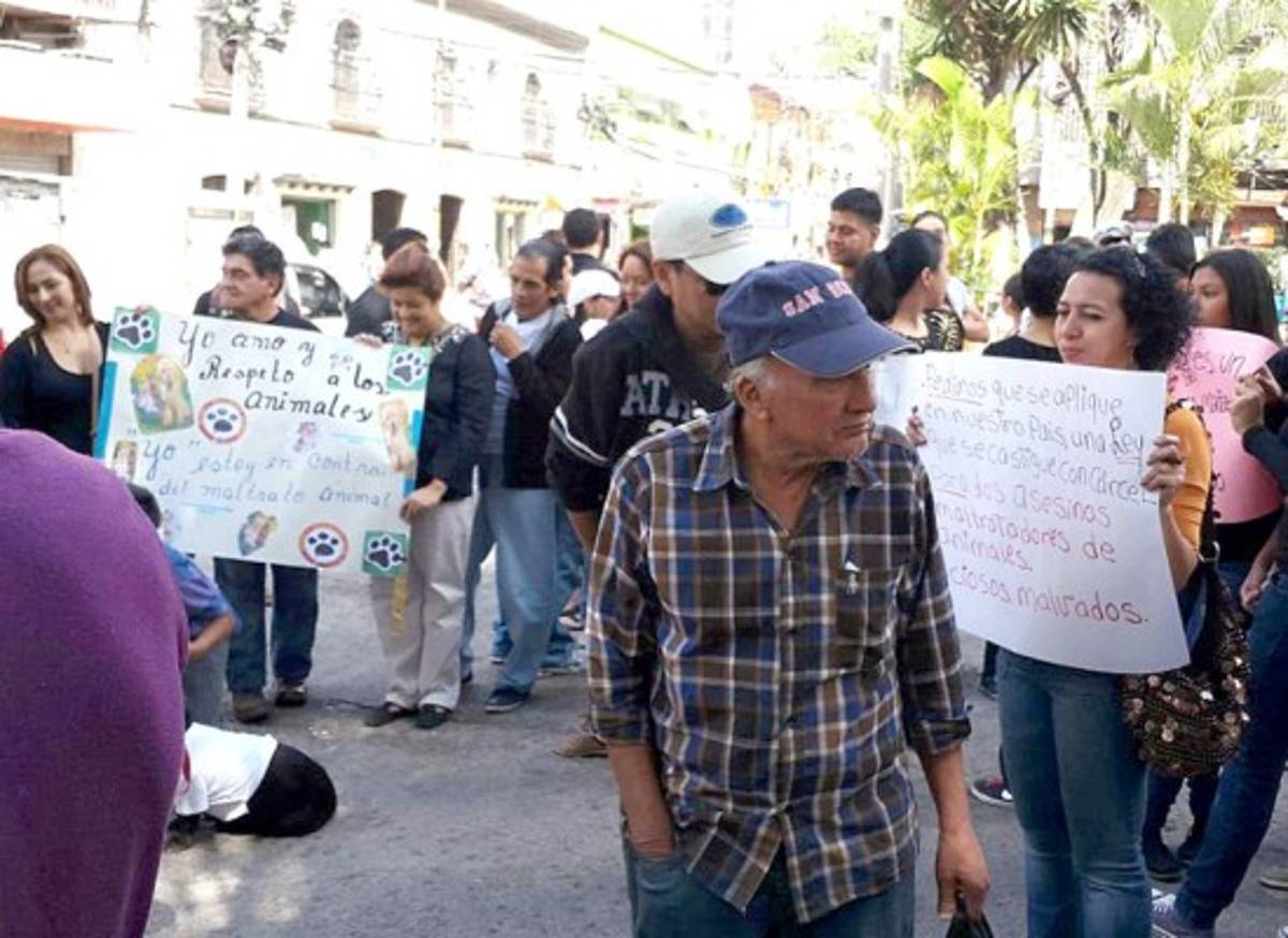 Honduras: Exigen aprobación de ley contra maltrato animal