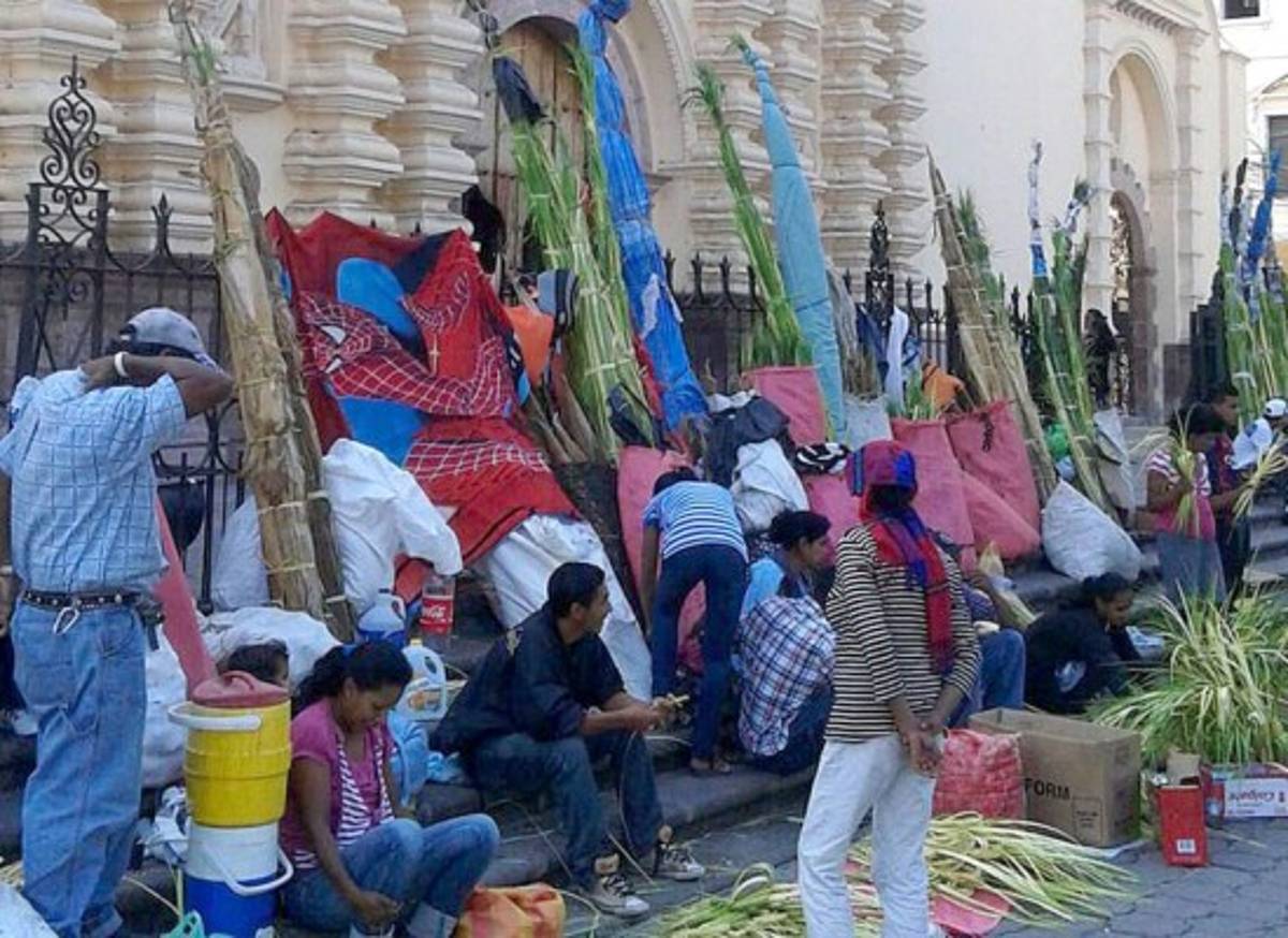 Palmas de olivo invaden Tegucigalpa