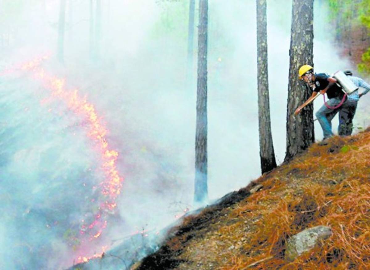 Tegucigalpa: 69 incendios menos que en 2014