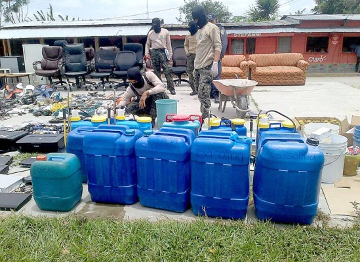 Reos de la MS tenían perros pitbull y rottweiler en la PN