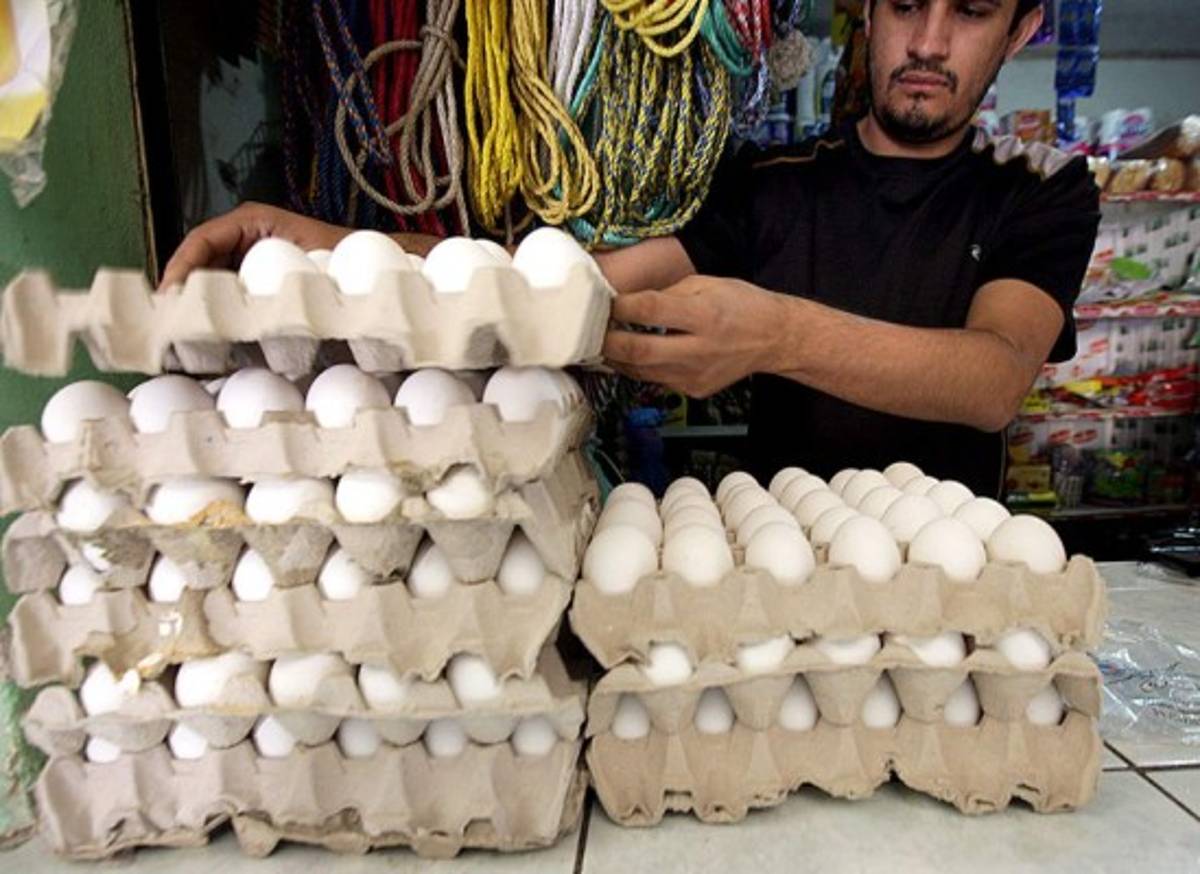 Honduras:Congelan precio del huevo por un mes