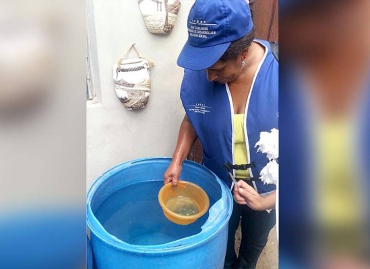 Operativos contra el dengue en colonias de Tegucigalpa