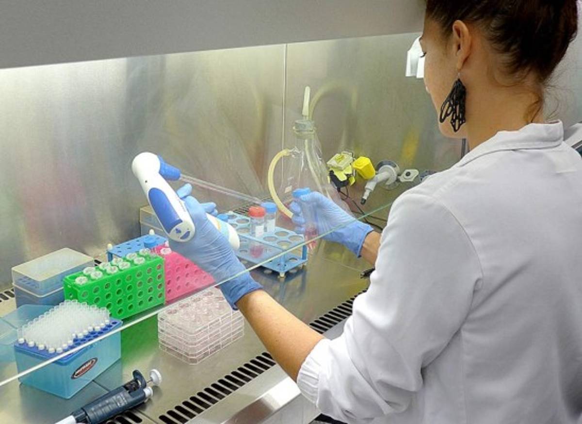 Estudio de la supervivencia al cáncer en el mundo