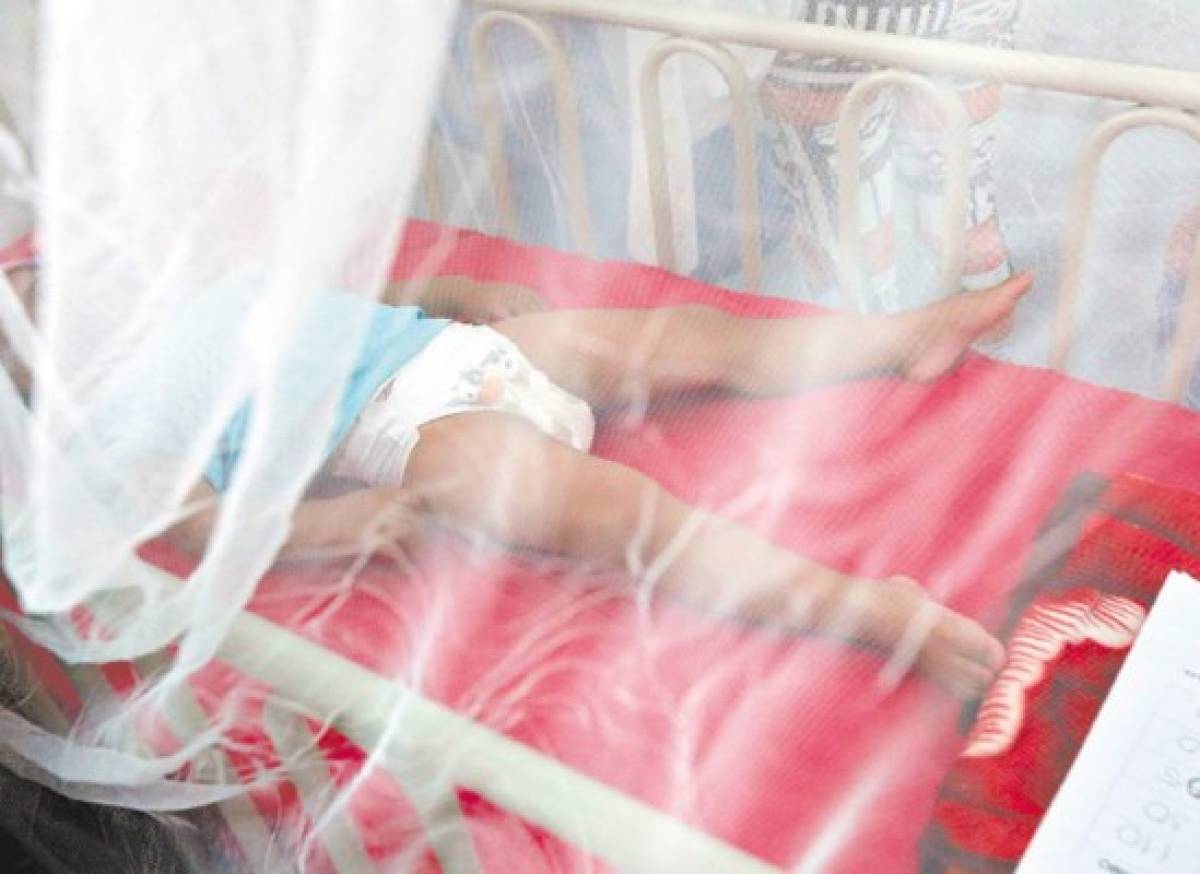Ya se reportan 142 casos de chikungunya en bebés