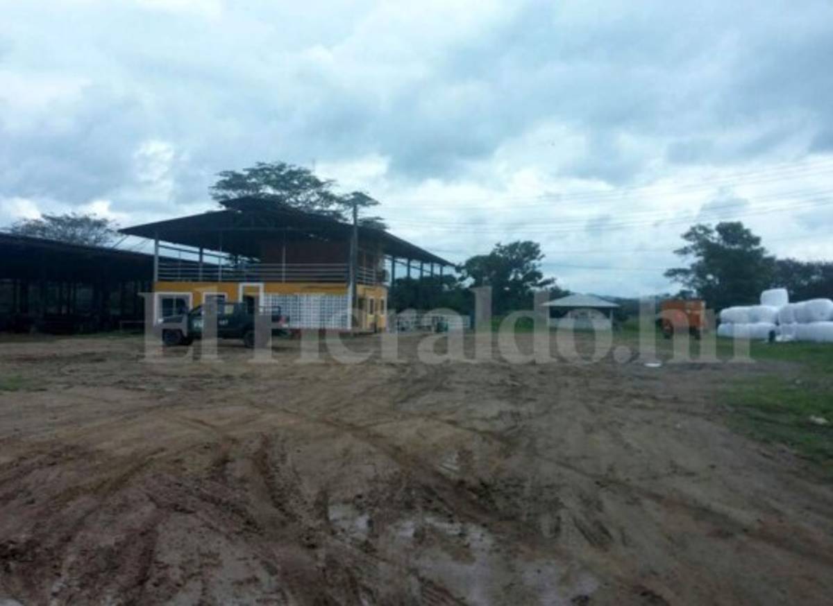 Aseguran más bienes del crimen organizado en el norte de Honduras