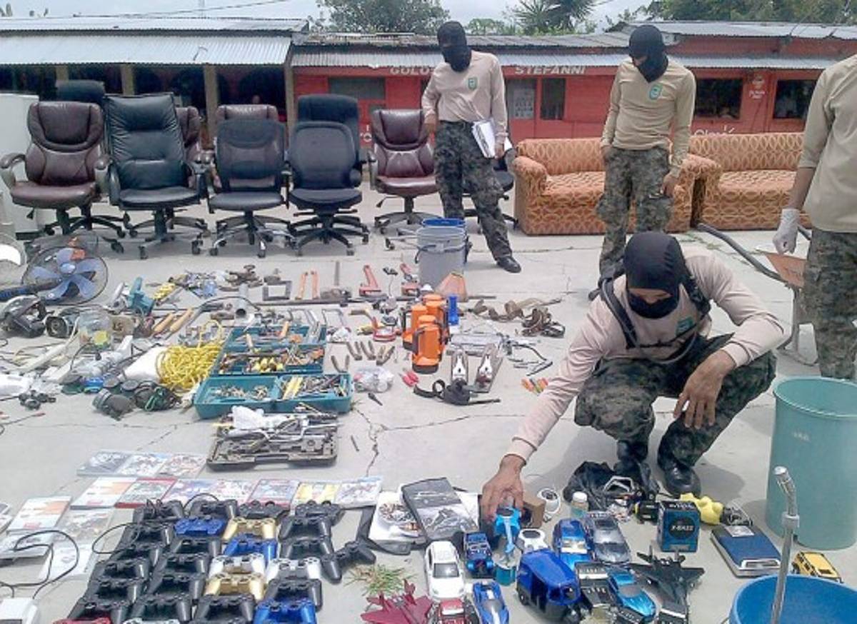 Reos de la MS tenían perros pitbull y rottweiler en la PN