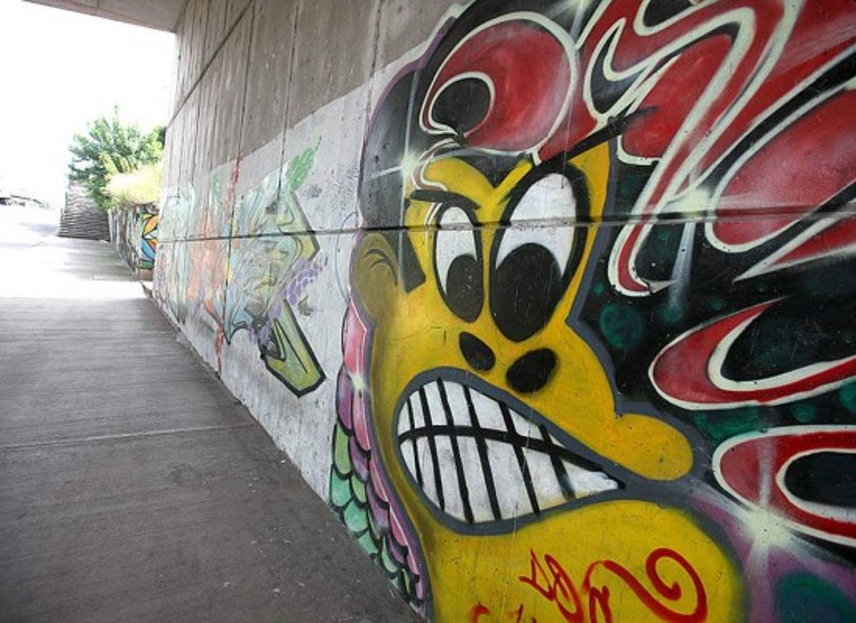 Hondureños a favor y en contra de grafitis