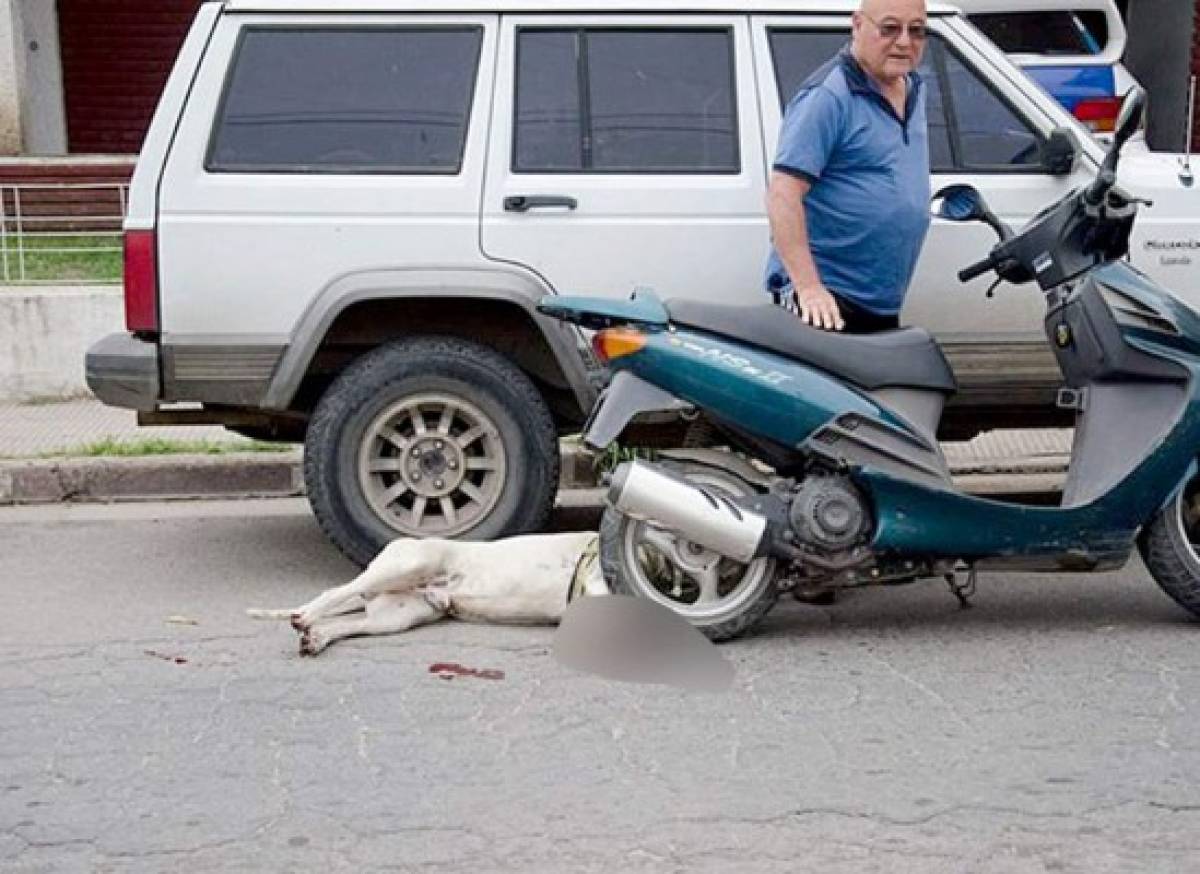 Hombre arrastra a su perro en una motocicleta
