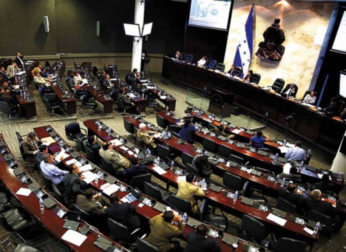 CN no discutirá fallo, lo mandará a publicar