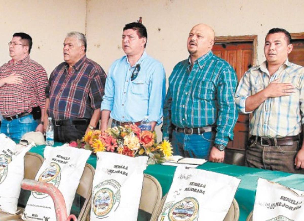 Honduras: Darán bono agrícola a 44 mil productores en septiembre