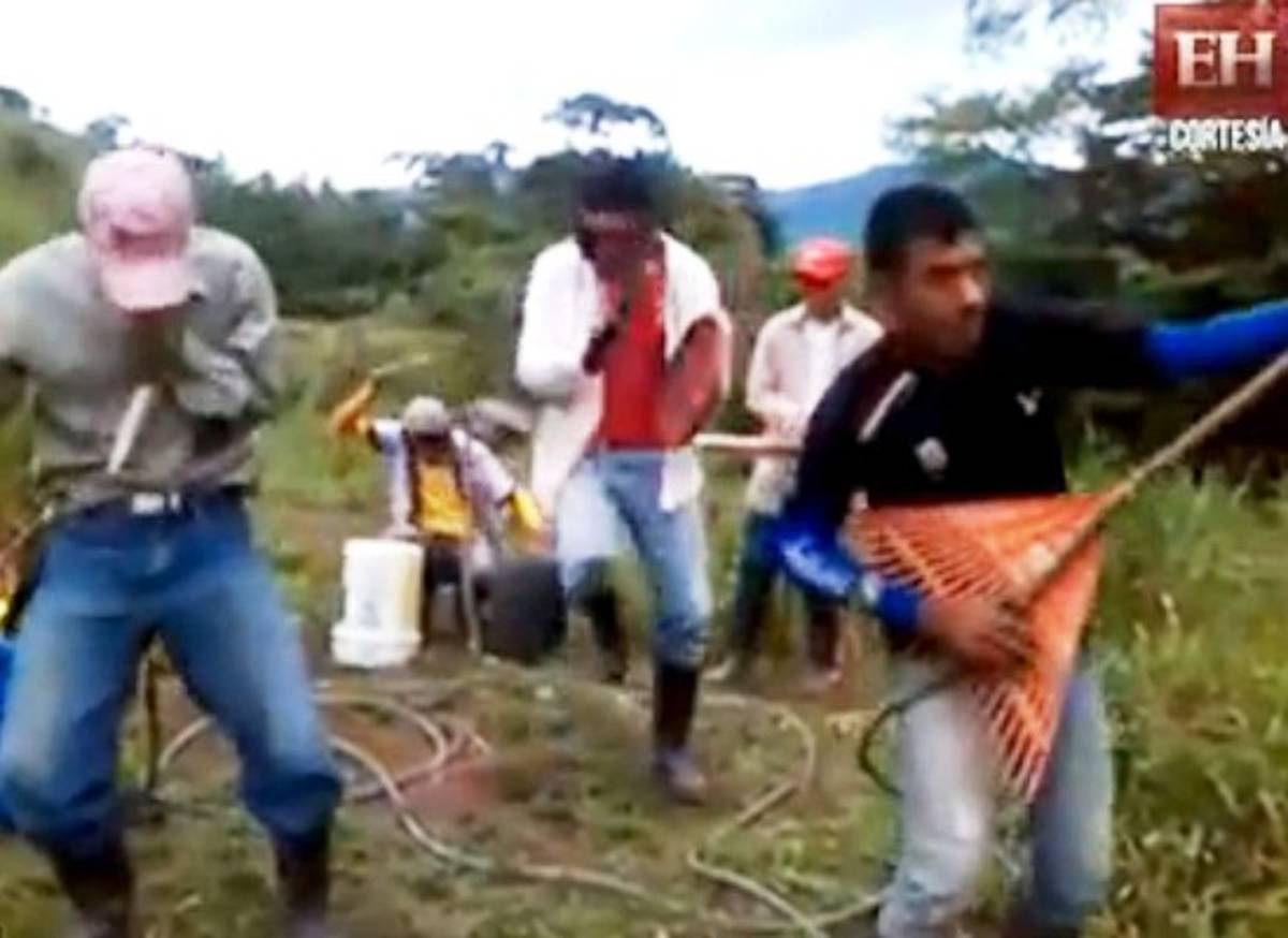La banda Queen hondureña causa sensación