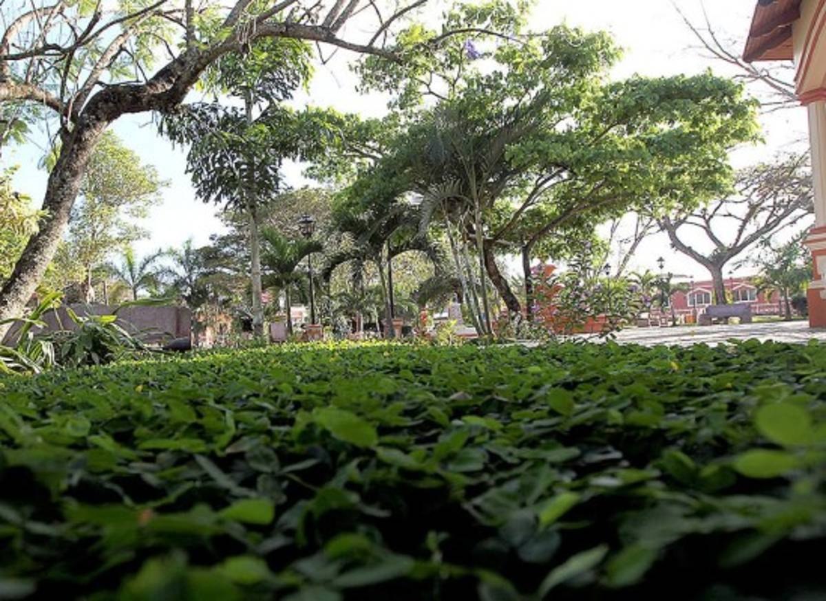 Olancho, tierra de tradiciones
