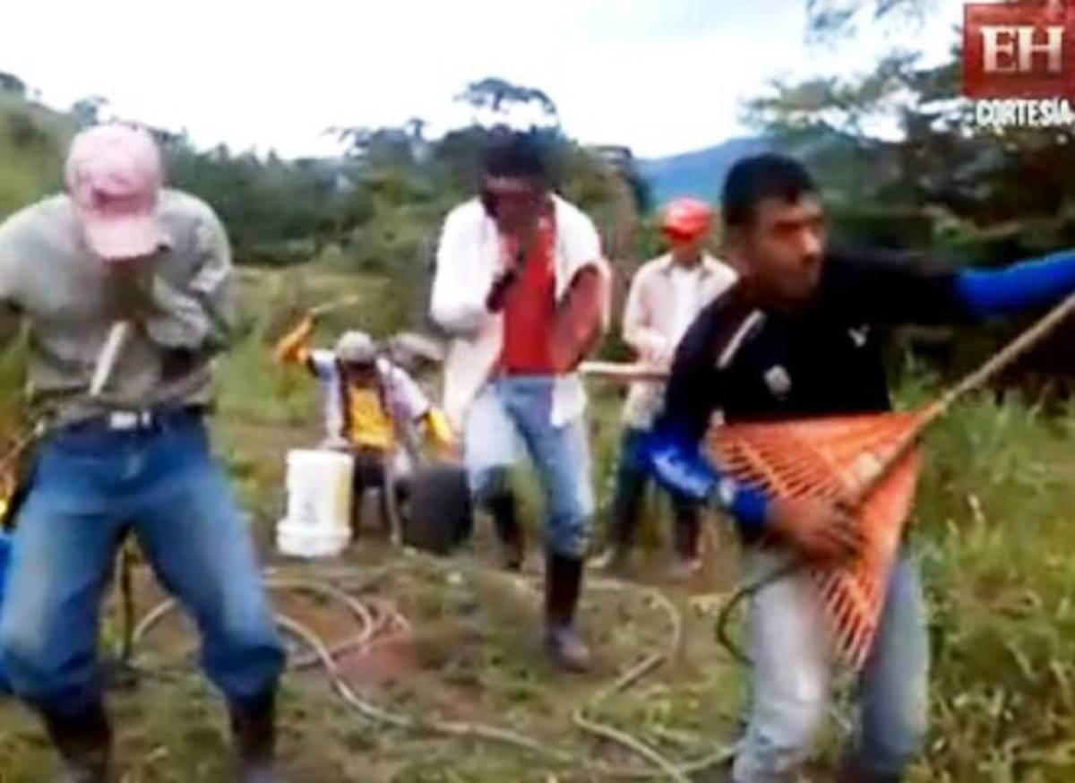 Los 10 videos de la semana en ElHeraldo.hn