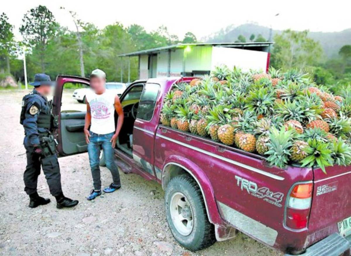 Coyotes usan trece 'aduanas privadas” para traficar con migrantes