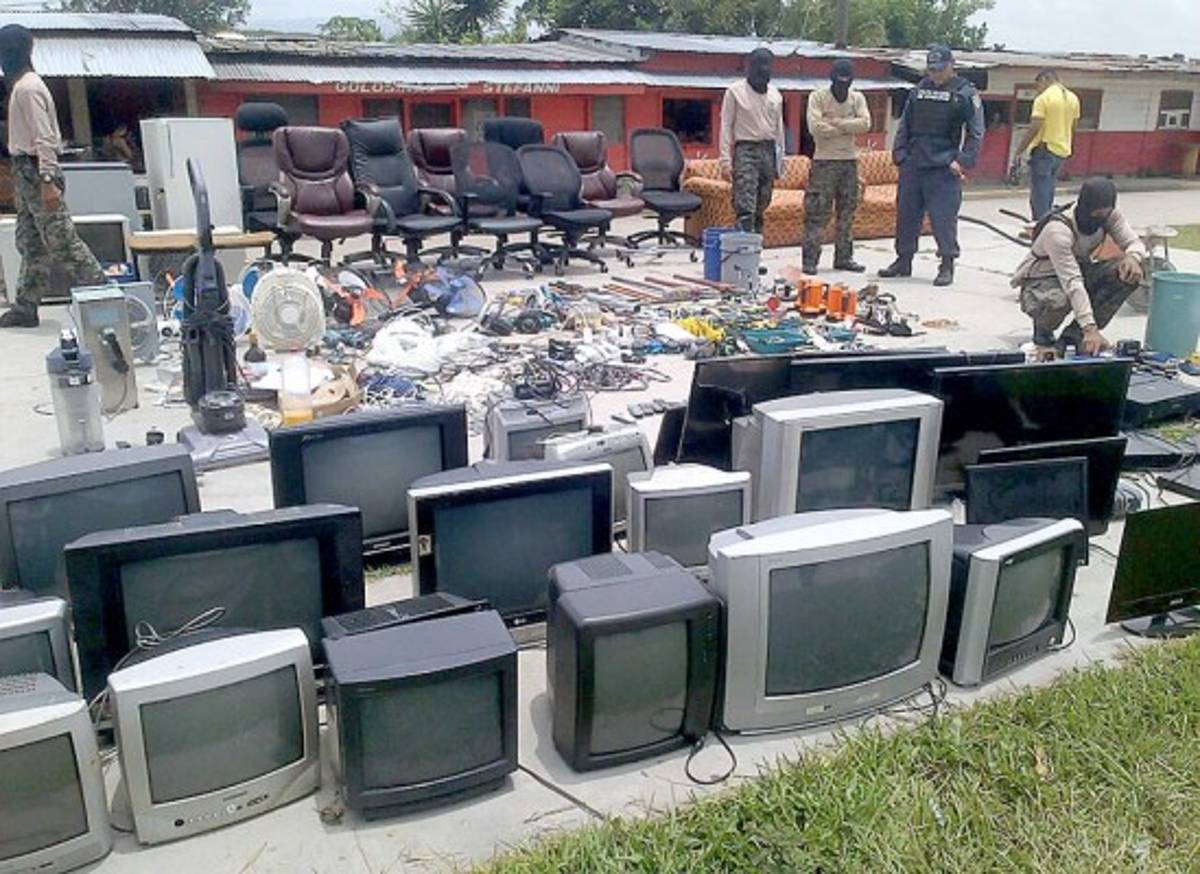 Reos de la MS tenían perros pitbull y rottweiler en la PN