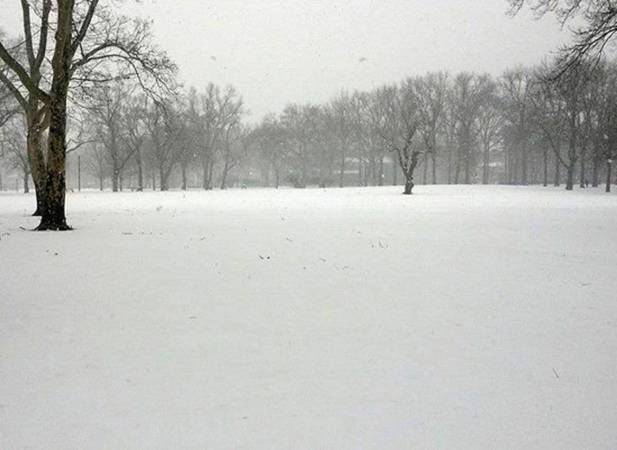 Así viven la nevada los migrantes hondureños en Estados Unidos