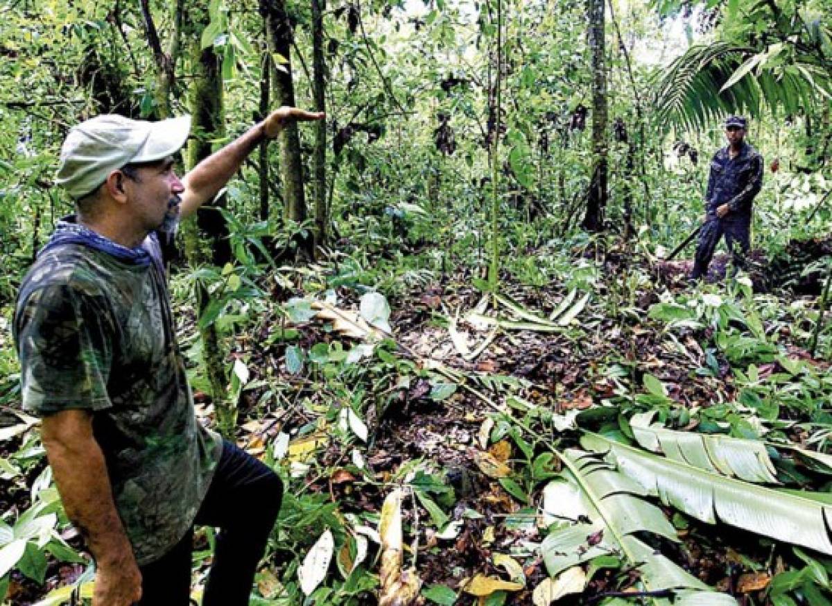 NatGeo confirma hallazgo de 'Ciudad Blanca'