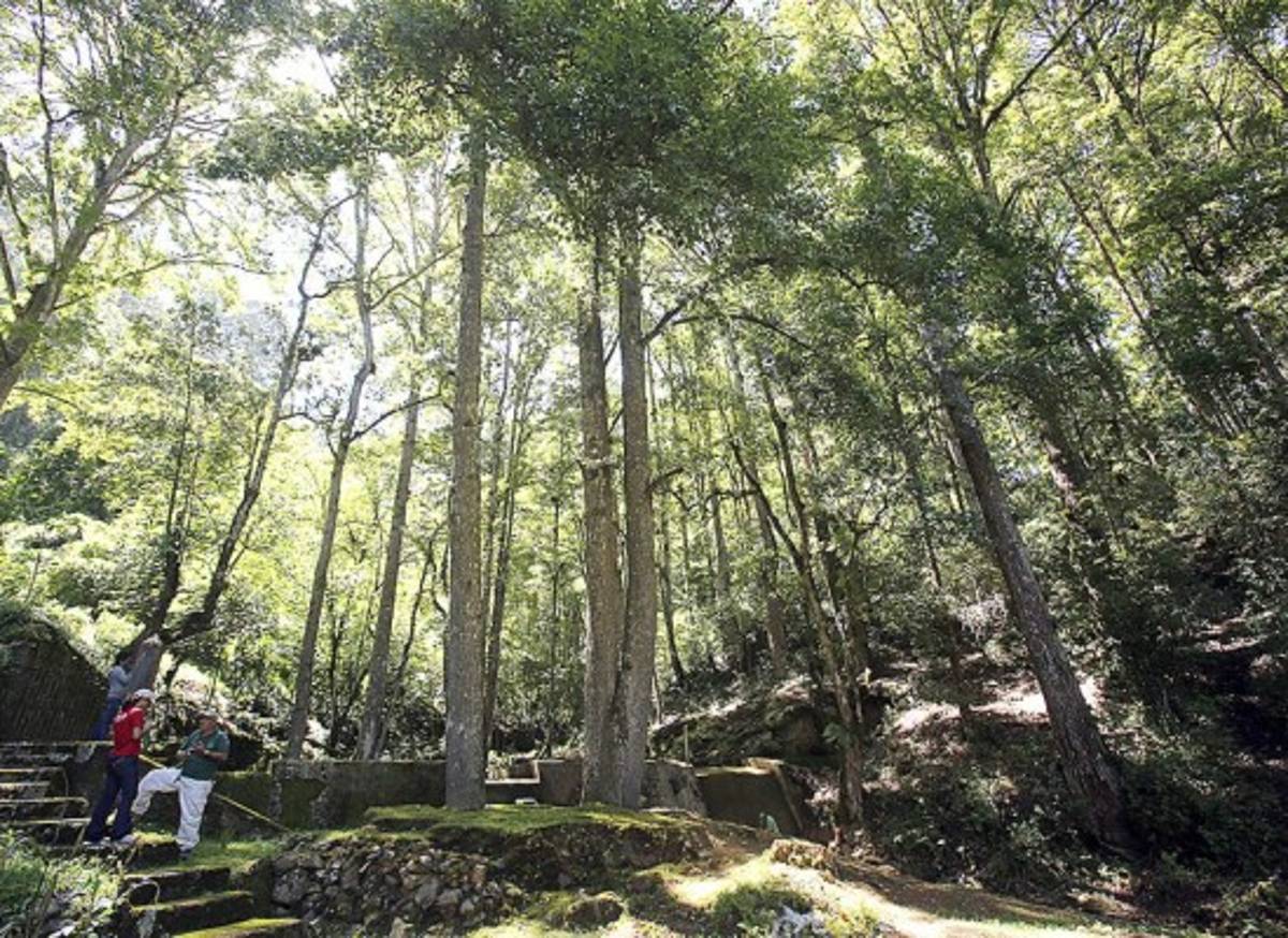 Turismo verde sin salir de Tegucigalpa