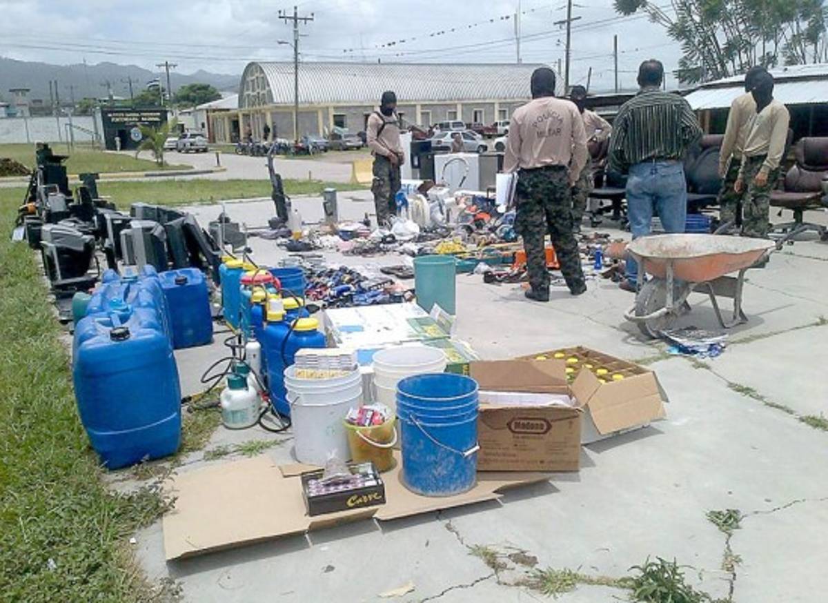 Reos de la MS tenían perros pitbull y rottweiler en la PN