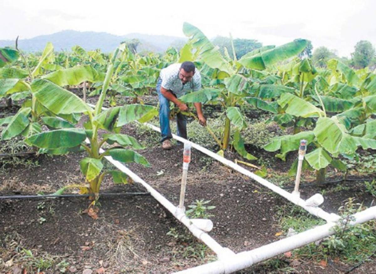 CN conoce propuesta para aprovechamiento de aguas