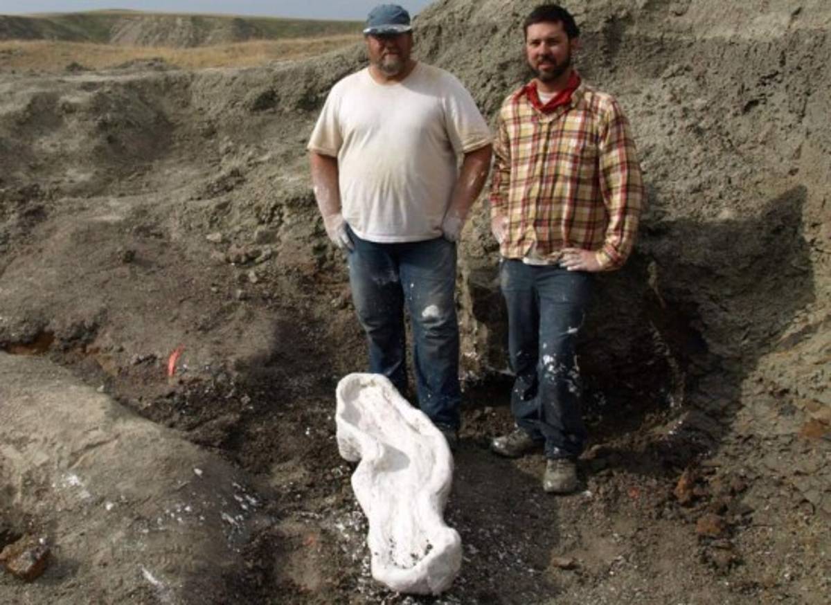 Nuevo dinosaurio descubierto en Canadá