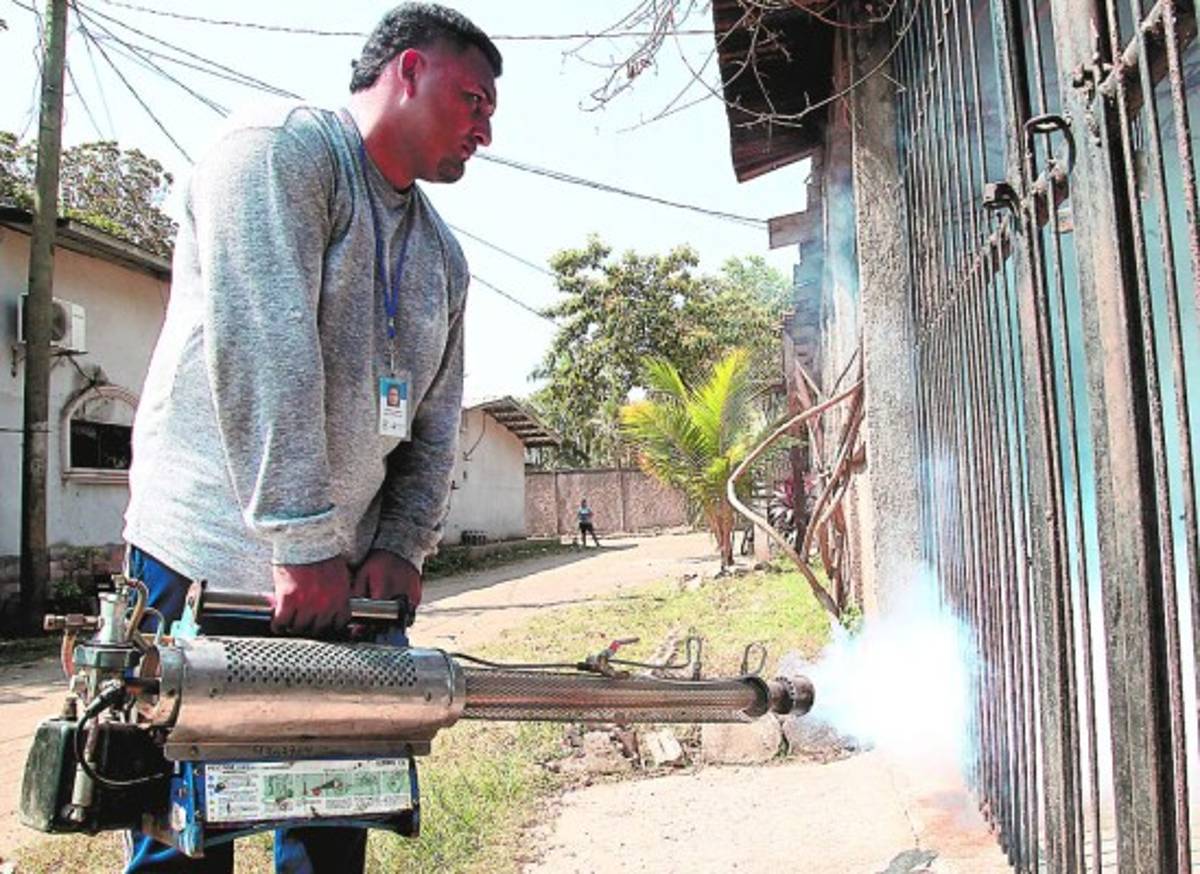 Honduras: Secretaría de Salud registra 3,603 casos de dengue