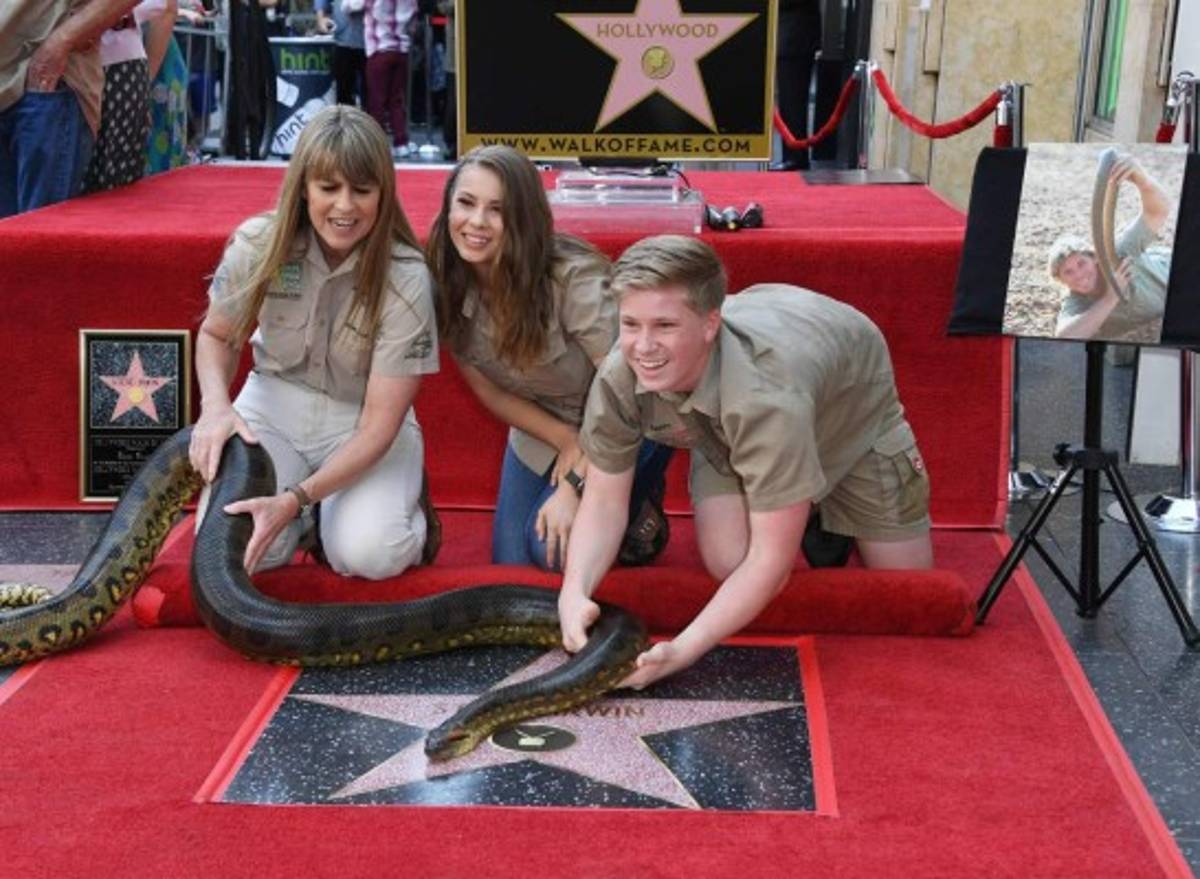 El increíble parecido de Robert con su padre Steve Irwin, el cazador de cocodrilos