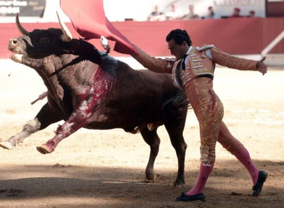 Muere el torero español Iván Fandiño tras sufrir una cornada en Francia