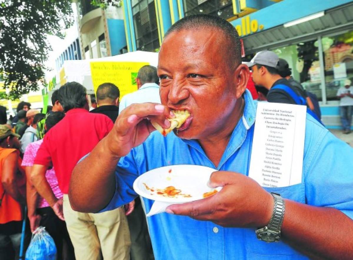 Tacos y baleadas con grillos y cucarachas ofrecen a capitalinos