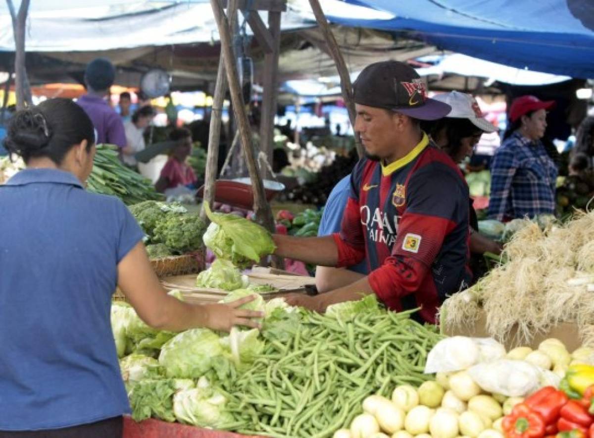Ardua faena de productores para traer sus hortalizas a la capital