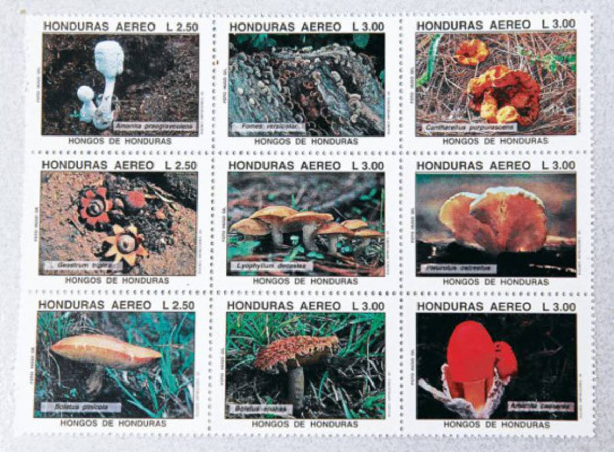 'Los artistas marcan etapas e historia”