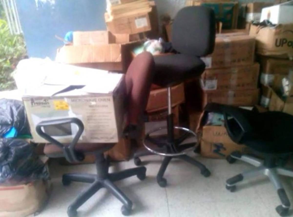 Supuestos integrantes del MEU saquean biblioteca de la UNAH