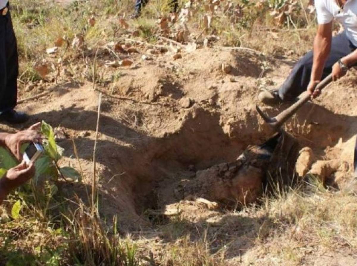 Exhuman 50 cuerpos de fosa clandestina enGuadalajara, México
