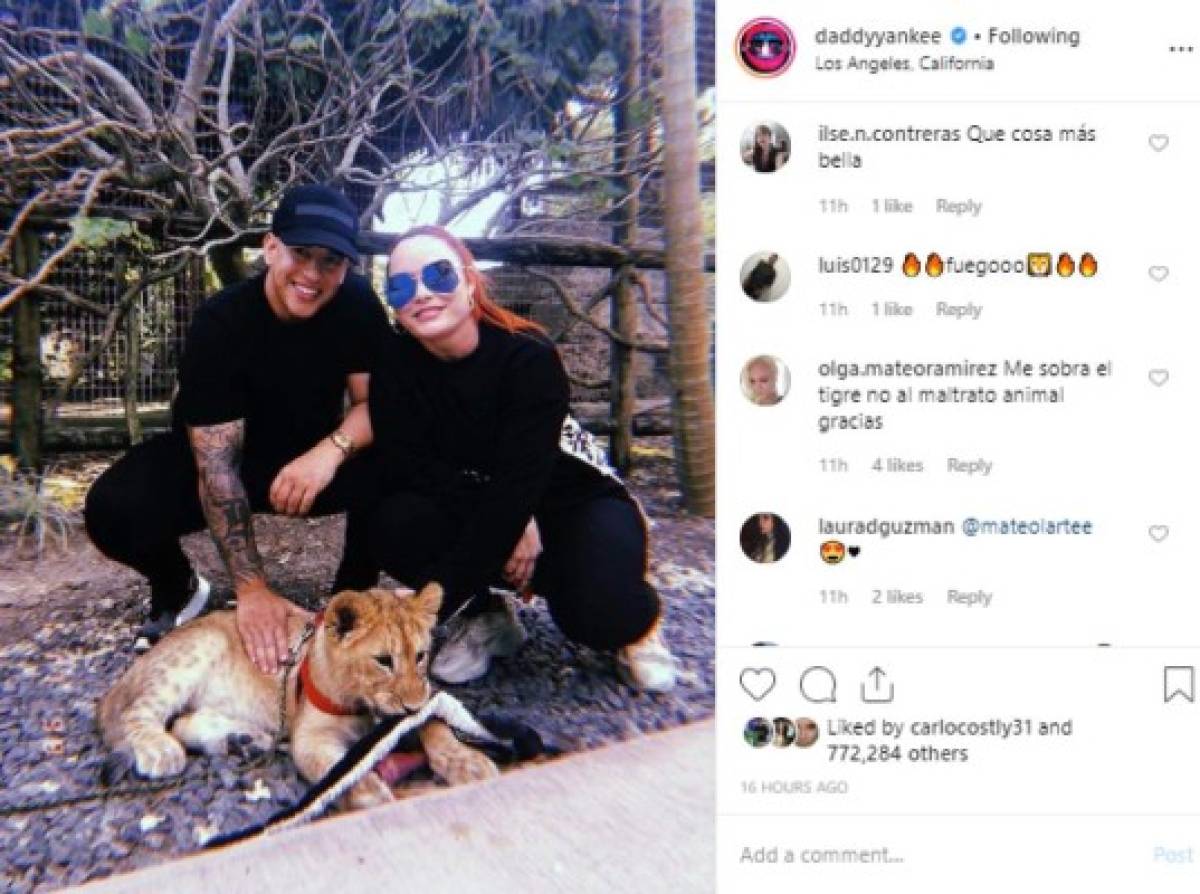 Critican a Daddy Yankee por posar con un león encadenado