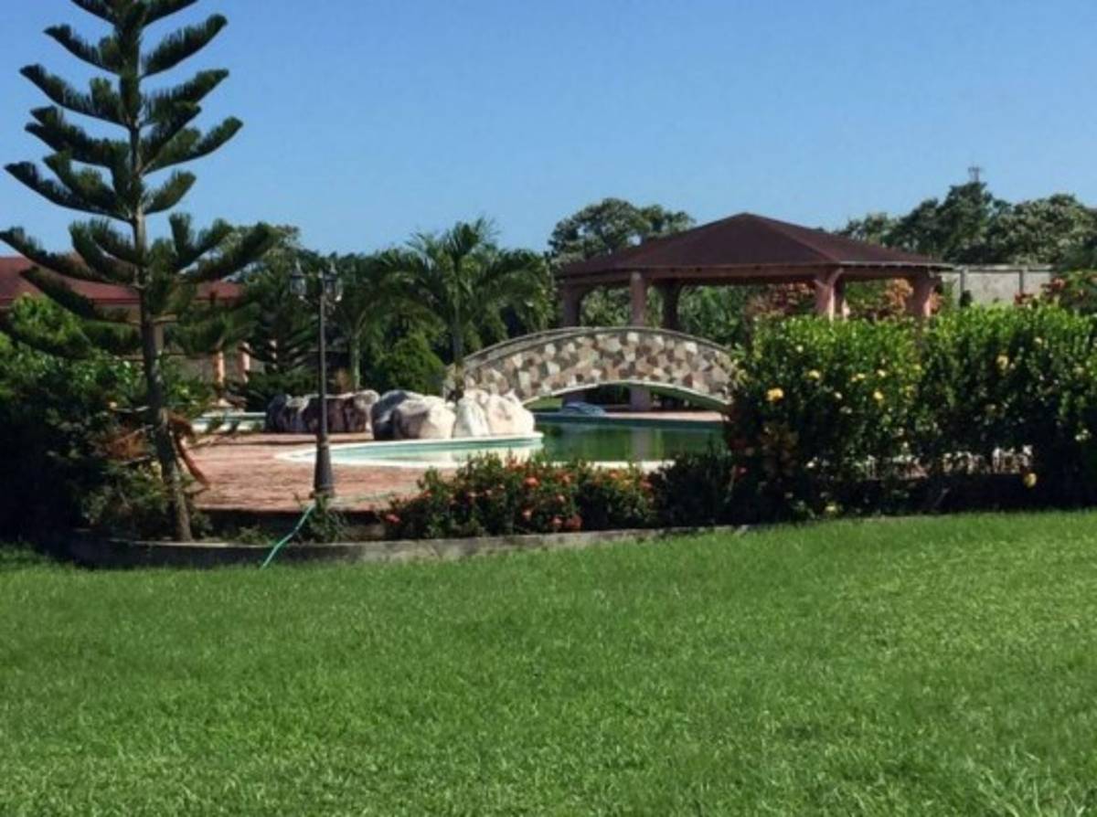 Aseguran bienes al extraditado 'Don H' en norte de Honduras   