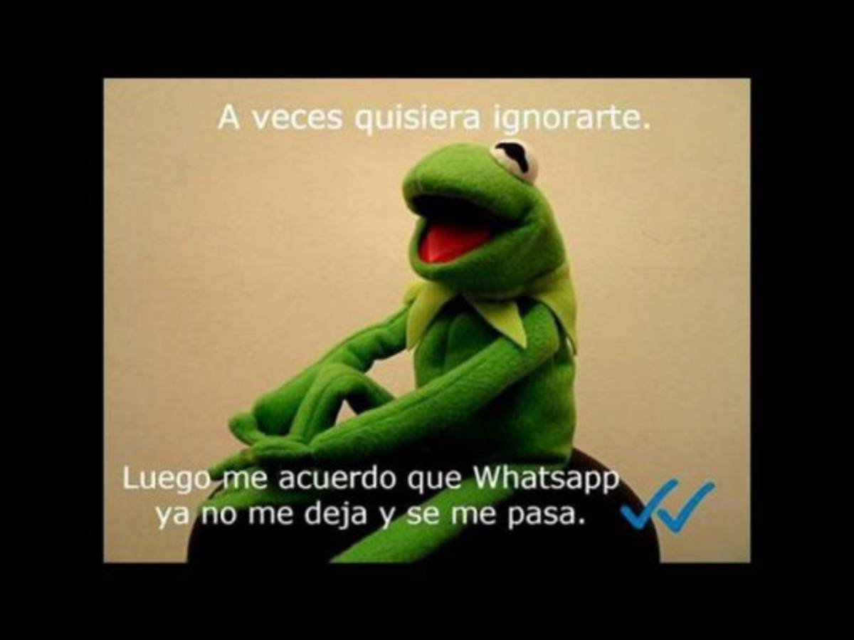 Los memes por el check azul de WhatsApp