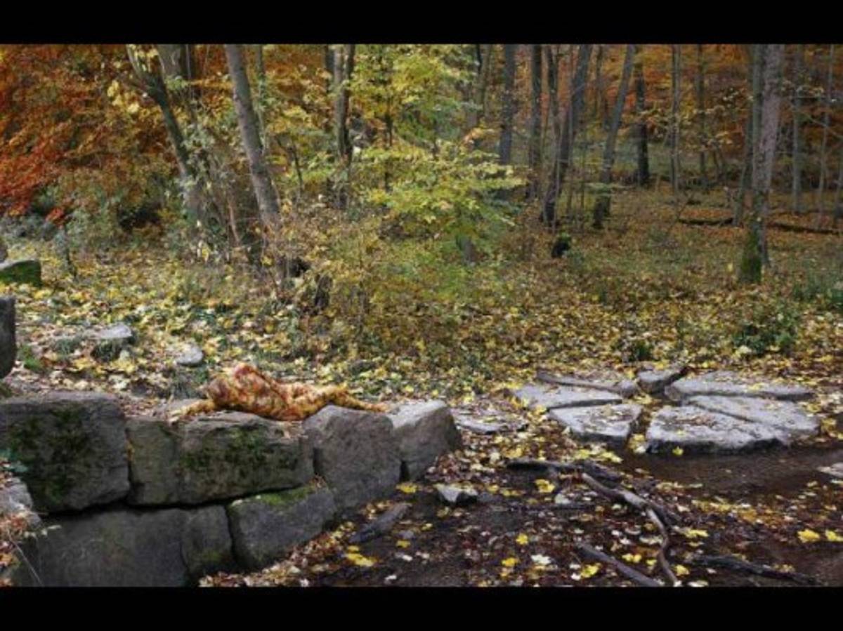 ¿Te atreves al reto visual?