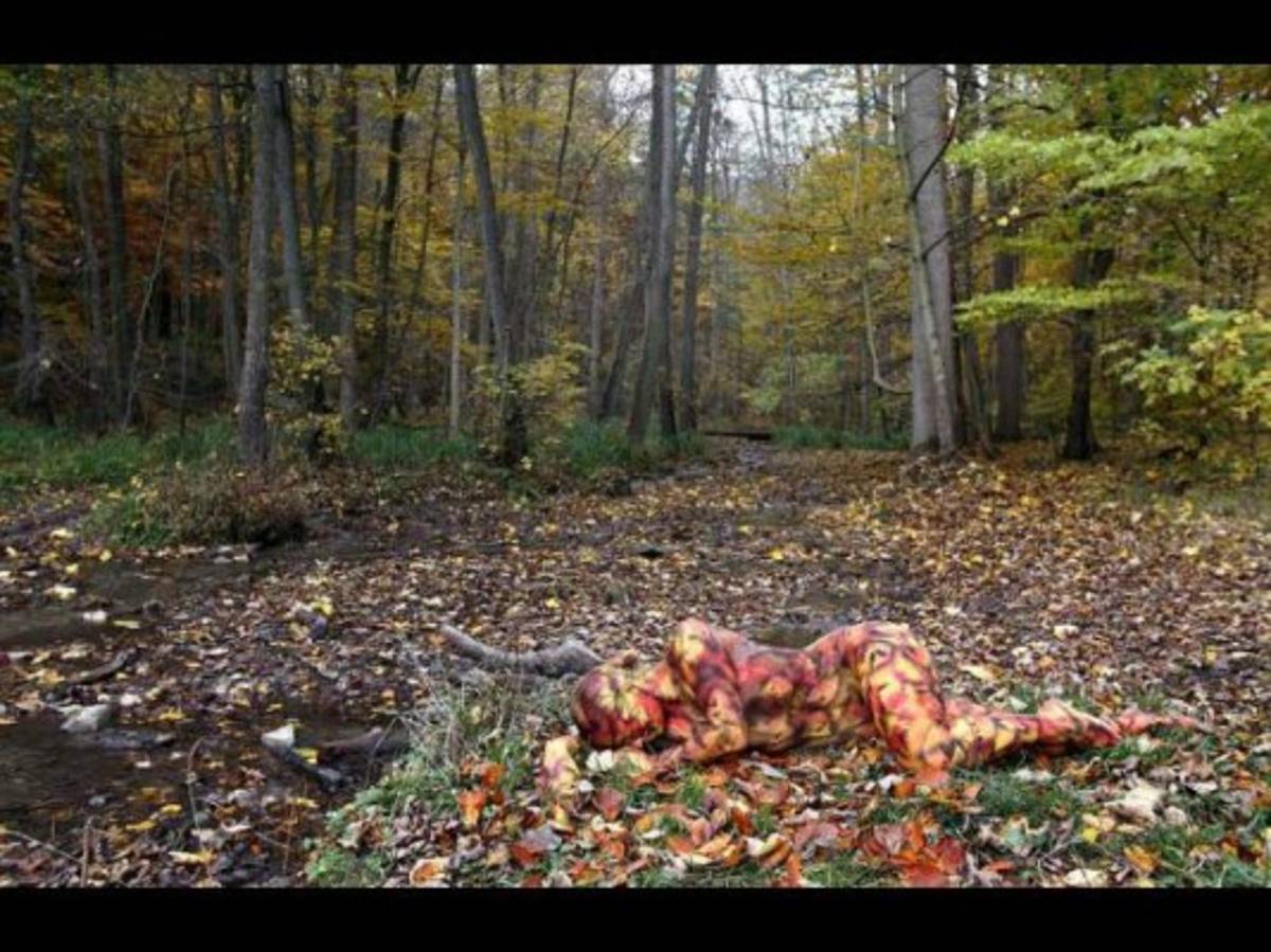 ¿Te atreves al reto visual?