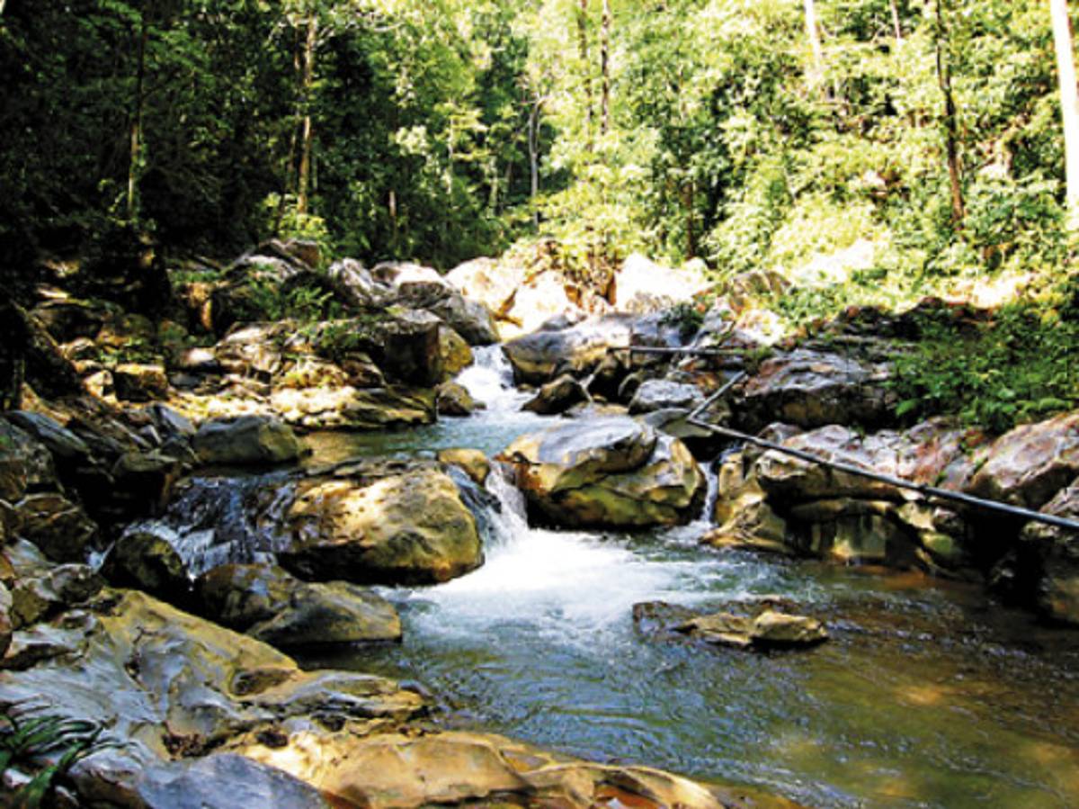 El Boquerón, área de espesa flora y fauna que invita a la diversión