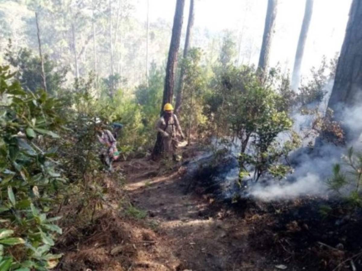 Voraz incendio consume al menos siete hectáreas en faldas de El Picacho