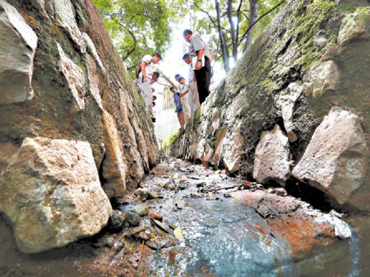 Maestro del Técnico Honduras perdió la vida por hepatitis