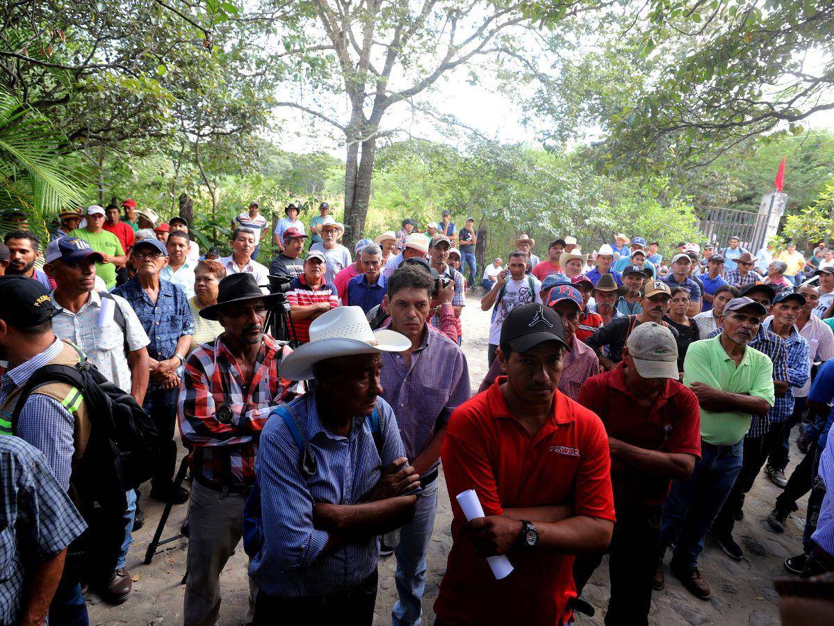 $!El alcalde de Nueva Armenia, Eduar Andino, señaló que el bono llegó a su municipio, pero solo fue para los simpatizantes de Libre y a mucha gente que no tienen necesidad.