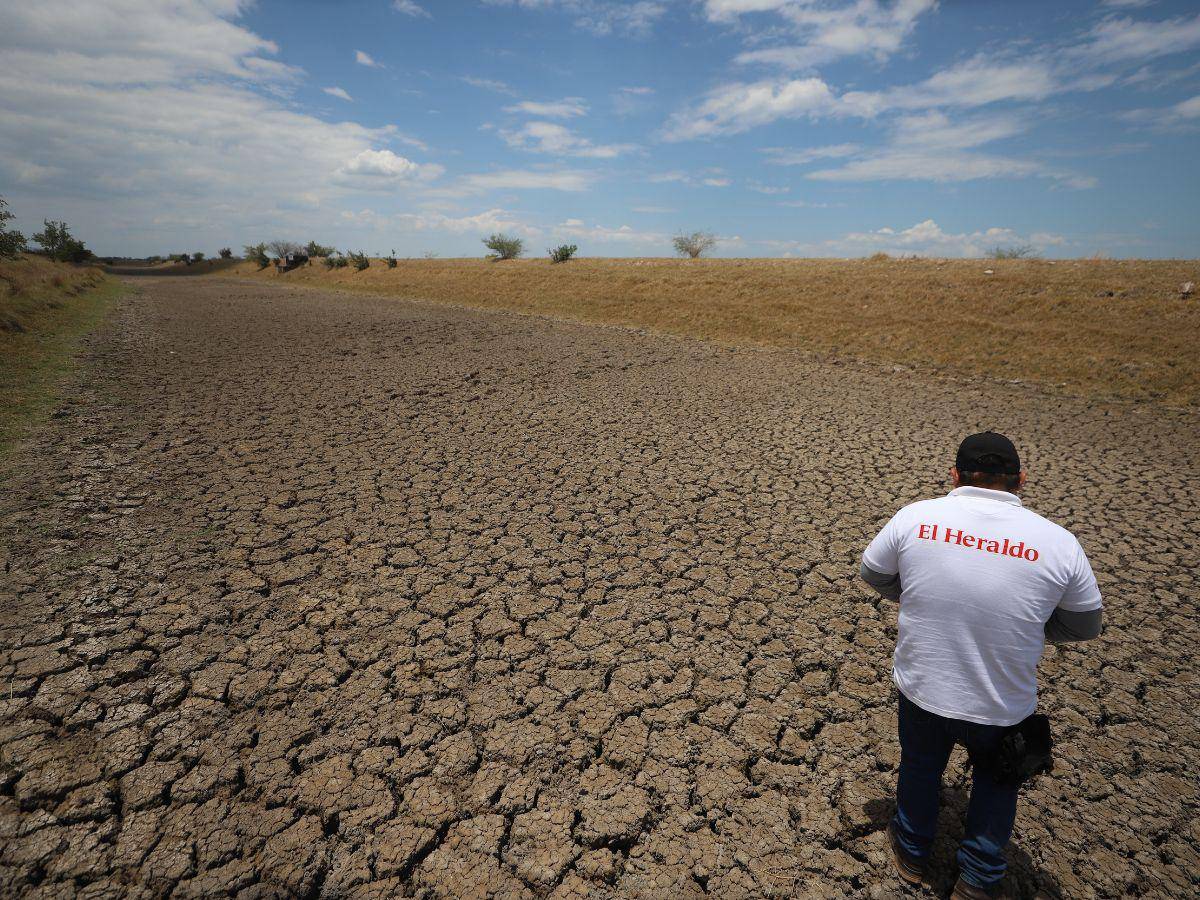 $!La producción de camarón hondureño se ha ido a pique después de romper relaciones con China Taiwán y el bloqueo de México.