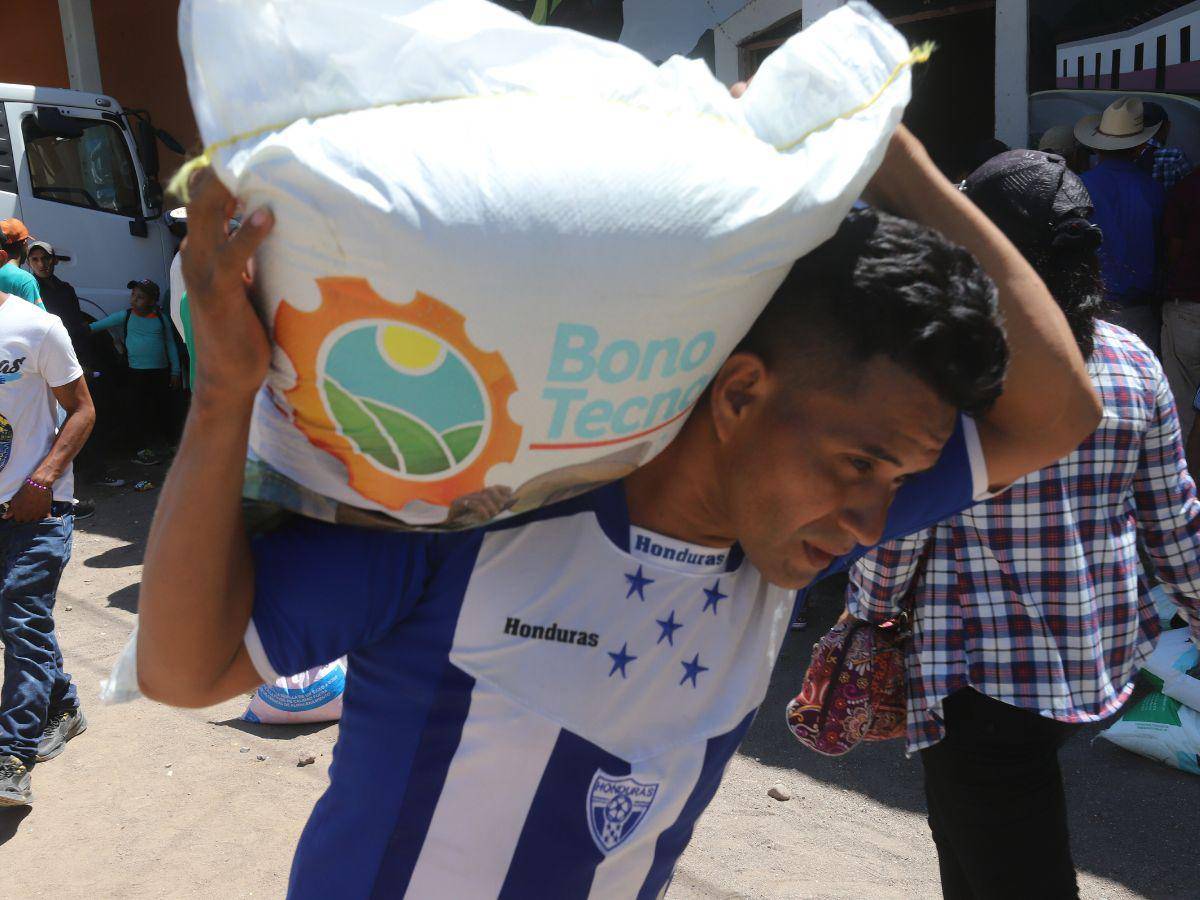 $!Para poder asistir a todos los productores al año, la SAG asegura que requiere más de 3,500 millones de lempiras.