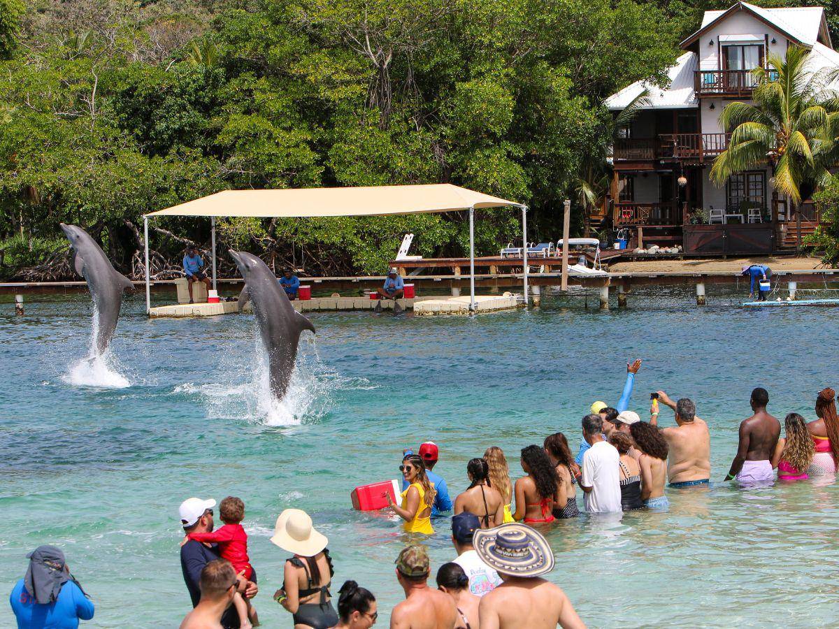 $!La mayor cantidad de viajeros se registra durante las vacaciones de Semana Santa, según registros del IHT.