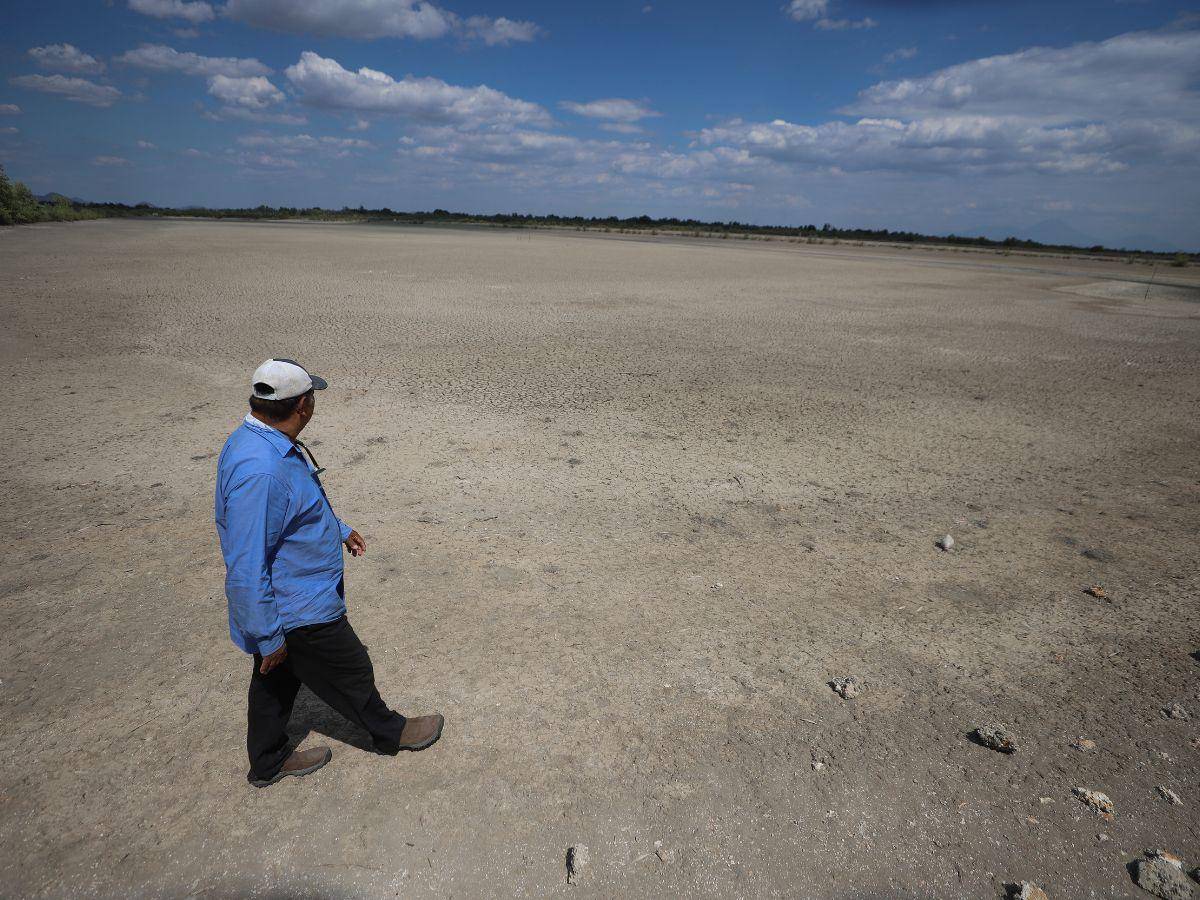 $!Cientos de lagunas en el sur de Honduras se ven secas, como si fueran campos de fútbol, cuando deberían estar produciendo camarón.