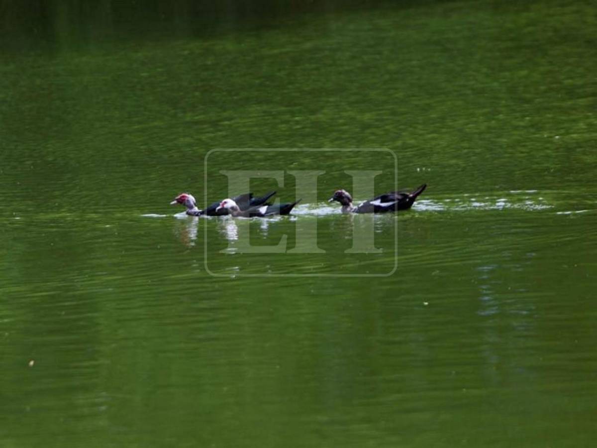 Santa Lucía: el municipio romántico que enamora con historia, flores y miradores